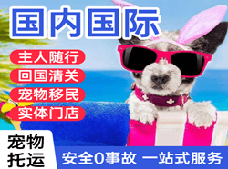 忻州五台山航空货运国际宠物托运 【国